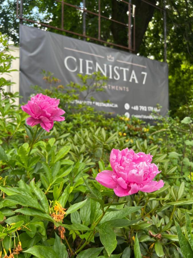 Cienista 7 Apartments Лёндек-Здруй Экстерьер фото